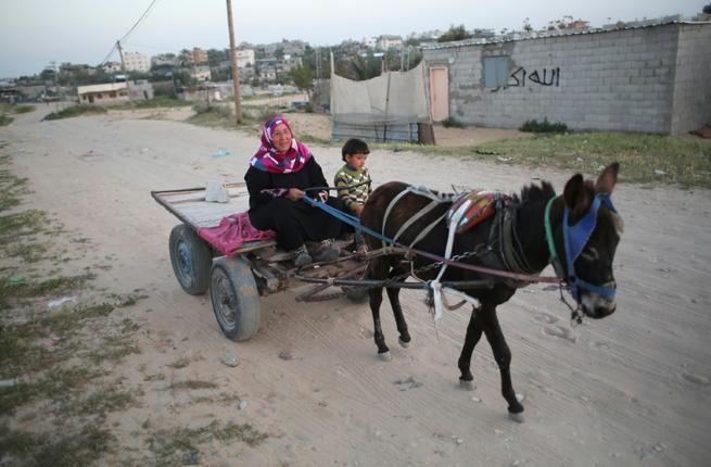 فلسطينية وابنها في طريقهما لجمع الحجارة في خان يونس جنوب قطاع غزة