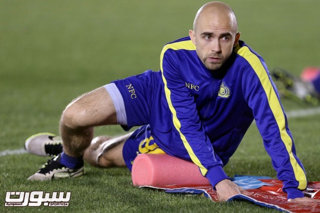 ادريان ميرزفيسكي