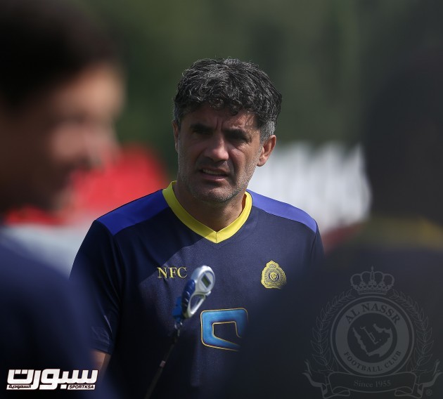 زوران ماميتش