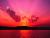 imad0136