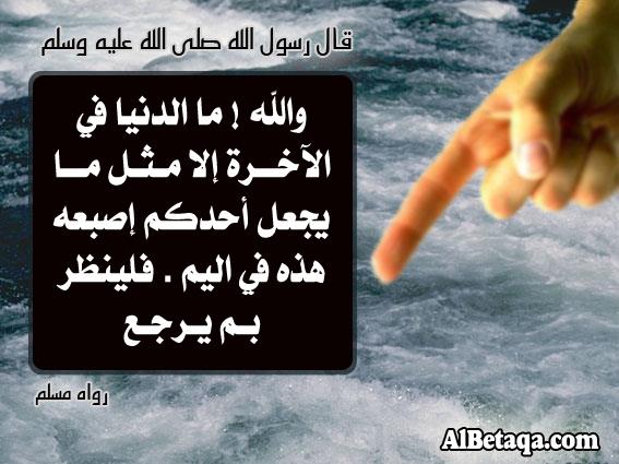 اضغط على الصورة لنسخة أكبر

الإسم:	306145_133663800099824_100003686137139_157837_1365020808_n.jpg
القراءات:	8
الحجم:	44.3 KB
ID:	1846653