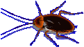 اضغط على الصورة لنسخة أكبر

الإسم:	roachliv[1].gif
القراءات:	39
الحجم:	44.2 KB
ID:	1629865