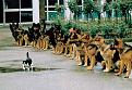اضغط على الصورة لنسخة أكبر

الإسم:	çê?î??? ?ç ???é ?ç ????.jpg
القراءات:	42
الحجم:	78.1 KB
ID:	1629907
