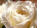 اضغط على الصورة لنسخة أكبر

الإسم:	21101_wallpaper280.jpg
القراءات:	71
الحجم:	9.8 KB
ID:	1629909