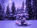 اضغط على الصورة لنسخة أكبر

الإسم:	25633_wallpaper280.jpg
القراءات:	42
الحجم:	14.6 KB
ID:	1629910