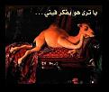 اضغط على الصورة لنسخة أكبر

الإسم:	nagah1.jpg
القراءات:	45
الحجم:	47.6 KB
ID:	1629987