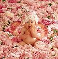 اضغط على الصورة لنسخة أكبر

الإسم:	floweran.jpg
القراءات:	82
الحجم:	36.8 KB
ID:	1630111