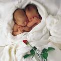 اضغط على الصورة لنسخة أكبر

الإسم:	48.jpg
القراءات:	60
الحجم:	20.3 KB
ID:	1630142