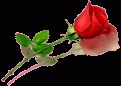 اضغط على الصورة لنسخة أكبر

الإسم:	????.gif
القراءات:	23
الحجم:	11.3 KB
ID:	1630249