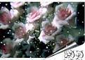 اضغط على الصورة لنسخة أكبر

الإسم:	gemei.jpg
القراءات:	47
الحجم:	28.7 KB
ID:	1632400