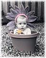 اضغط على الصورة لنسخة أكبر

الإسم:	a_kid_in_pot.jpg
القراءات:	66
الحجم:	147.0 KB
ID:	1632570