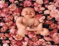 اضغط على الصورة لنسخة أكبر

الإسم:	thumb_k9.jpg
القراءات:	61
الحجم:	6.0 KB
ID:	1632575