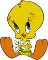 اضغط على الصورة لنسخة أكبر

الإسم:	tweety6.gif
القراءات:	57
الحجم:	9.4 KB
ID:	1632974