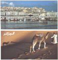 اضغط على الصورة لنسخة أكبر

الإسم:	CUN_A1.gif
القراءات:	31
الحجم:	54.0 KB
ID:	1633050