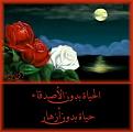 اضغط على الصورة لنسخة أكبر

الإسم:	f007.jpg
القراءات:	41
الحجم:	18.3 KB
ID:	1633166