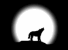 اضغط على الصورة لنسخة أكبر

الإسم:	wolf[1].gif
القراءات:	60
الحجم:	2.0 KB
ID:	1633480