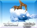 اضغط على الصورة لنسخة أكبر

الإسم:	mohamad13.jpg
القراءات:	121
الحجم:	176.0 KB
ID:	1633933
