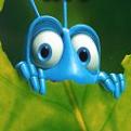 اضغط على الصورة لنسخة أكبر

الإسم:	frog eyes.jpg
القراءات:	162
الحجم:	5.0 KB
ID:	1633964