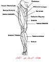 اضغط على الصورة لنسخة أكبر

الإسم:	????? ????.jpg
القراءات:	37
الحجم:	62.8 KB
ID:	1634283