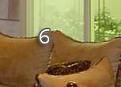 اضغط على الصورة لنسخة أكبر

الإسم:	6.JPG
القراءات:	52
الحجم:	3.5 KB
ID:	1634379