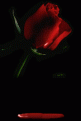 اضغط على الصورة لنسخة أكبر

الإسم:	a-blume004.1[1].gif
القراءات:	78
الحجم:	58.4 KB
ID:	1635182