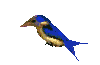 اضغط على الصورة لنسخة أكبر

الإسم:	bird1.gif
القراءات:	56
الحجم:	4.6 KB
ID:	1635506