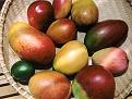 اضغط على الصورة لنسخة أكبر

الإسم:	Mango-fruit-72.jpg
القراءات:	60
الحجم:	55.1 KB
ID:	1635736