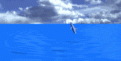 اضغط على الصورة لنسخة أكبر

الإسم:	dolphins[1].gif
القراءات:	33
الحجم:	46.0 KB
ID:	1636373