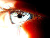 اضغط على الصورة لنسخة أكبر

الإسم:	eyes-as2-7.jpg
القراءات:	67
الحجم:	19.3 KB
ID:	1636378