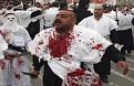 اضغط على الصورة لنسخة أكبر

الإسم:	????? ??????2.jpg
القراءات:	52
الحجم:	54.7 KB
ID:	1637136
