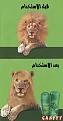 اضغط على الصورة لنسخة أكبر

الإسم:	dq1ef.jpg
القراءات:	62
الحجم:	41.7 KB
ID:	1638219