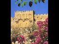 اضغط على الصورة لنسخة أكبر

الإسم:	????? ?? ?????? ?????? ????????? ?????44.jpg
القراءات:	34
الحجم:	44.4 KB
ID:	1640741