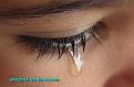 اضغط على الصورة لنسخة أكبر

الإسم:	8512554_94caa8d980.jpg
القراءات:	30
الحجم:	26.0 KB
ID:	1641011
