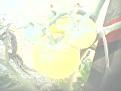 اضغط على الصورة لنسخة أكبر

الإسم:	IMG0405A.jpg
القراءات:	54
الحجم:	5.7 KB
ID:	1641431