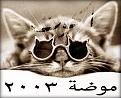 اضغط على الصورة لنسخة أكبر

الإسم:	33333.jpg
القراءات:	49
الحجم:	29.1 KB
ID:	1643841