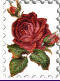 اضغط على الصورة لنسخة أكبر

الإسم:	rose.gif
القراءات:	99
الحجم:	4.9 KB
ID:	1643846