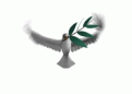اضغط على الصورة لنسخة أكبر

الإسم:	peace_dove_olive_branch_lg_wht.gif
القراءات:	75
الحجم:	19.6 KB
ID:	1644024