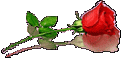 اضغط على الصورة لنسخة أكبر

الإسم:	rose.gif
القراءات:	30
الحجم:	2.5 KB
ID:	1644047