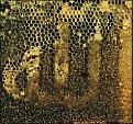 اضغط على الصورة لنسخة أكبر

الإسم:	Allah(C).jpg
القراءات:	46
الحجم:	23.2 KB
ID:	1644164