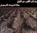 اضغط على الصورة لنسخة أكبر

الإسم:	1.jpg
القراءات:	22
الحجم:	41.3 KB
ID:	1644206