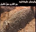 اضغط على الصورة لنسخة أكبر

الإسم:	3.jpg
القراءات:	31
الحجم:	53.9 KB
ID:	1644208