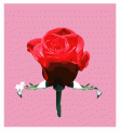 اضغط على الصورة لنسخة أكبر

الإسم:	s_shojoon402.gif
القراءات:	47
الحجم:	27.8 KB
ID:	1644630