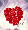 اضغط على الصورة لنسخة أكبر

الإسم:	heart.jpg
القراءات:	58
الحجم:	14.6 KB
ID:	1645023