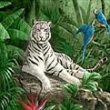 اضغط على الصورة لنسخة أكبر

الإسم:	003.jpg
القراءات:	50
الحجم:	9.0 KB
ID:	1645067