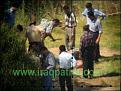 اضغط على الصورة لنسخة أكبر

الإسم:	policeabuse2%20copy.jpeg
القراءات:	28
الحجم:	28.9 KB
ID:	1646031