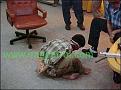 اضغط على الصورة لنسخة أكبر

الإسم:	policeabuse3%20copy.jpeg
القراءات:	39
الحجم:	27.1 KB
ID:	1646032