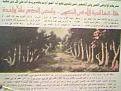 اضغط على الصورة لنسخة أكبر

الإسم:	Tree.jpg
القراءات:	65
الحجم:	32.7 KB
ID:	1646811