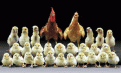 اضغط على الصورة لنسخة أكبر

الإسم:	photo_familly.gif
القراءات:	71
الحجم:	93.0 KB
ID:	1646939