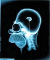 اضغط على الصورة لنسخة أكبر

الإسم:	cerebro_simpsons.jpg
القراءات:	57
الحجم:	27.6 KB
ID:	1647110