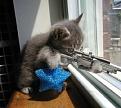 اضغط على الصورة لنسخة أكبر

الإسم:	post-6-1080954985.jpg
القراءات:	57
الحجم:	46.6 KB
ID:	1647271